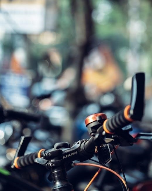 schwinn bicycle owner’s manual