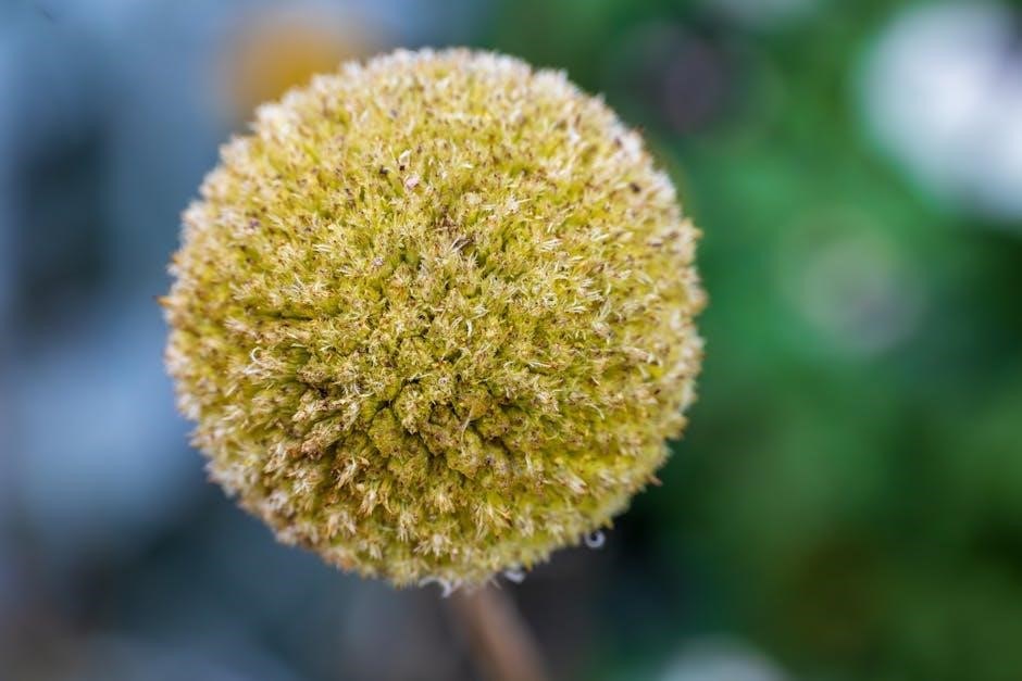 billy graham sermons pdf