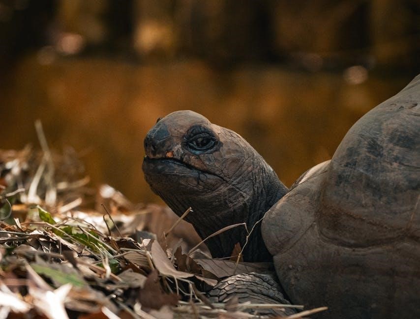 professor messer a 1102 course notes pdf free download