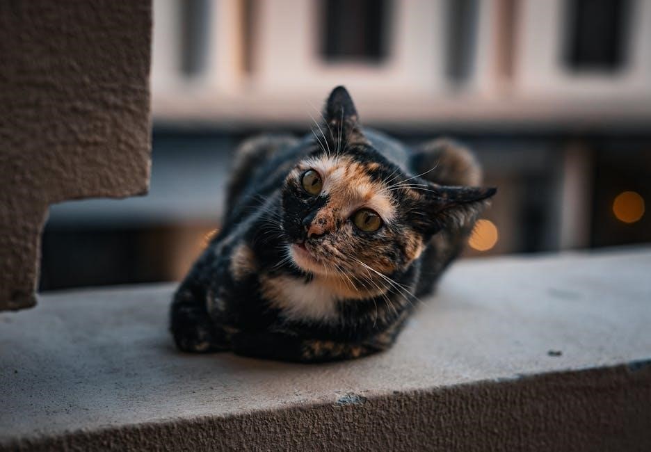 trane wiring diagrams pdf free download