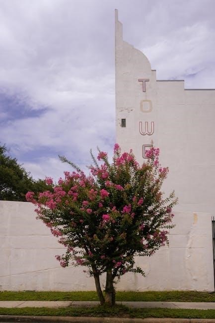 crepe myrtle planting guide