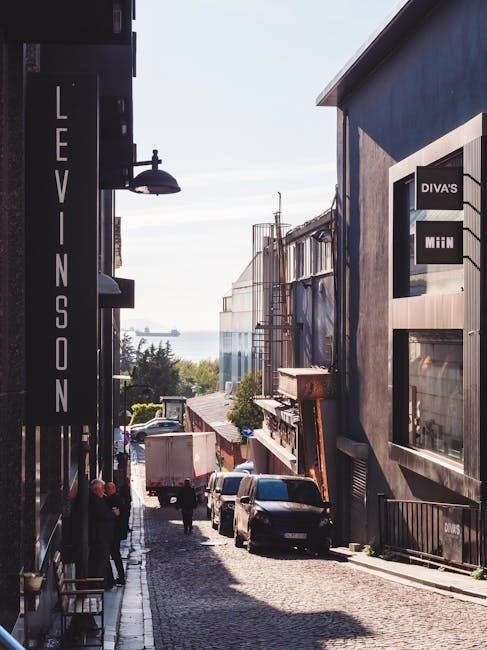 mark levinson no 39 manual