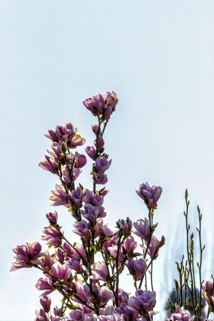 janome magnolia 7330 manual