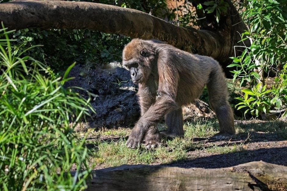 i am malala book pdf